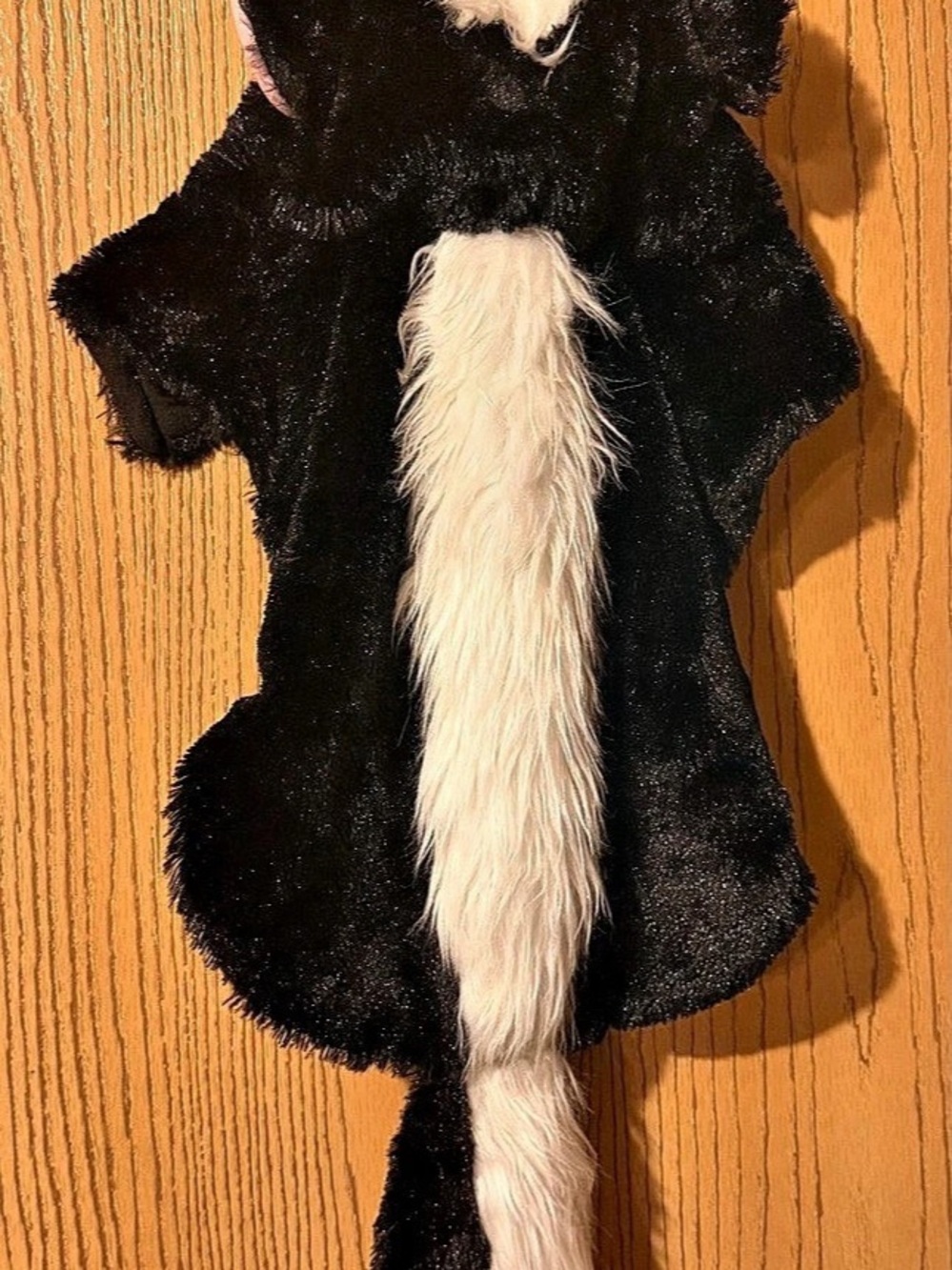Dogs Skunk Halloween costume